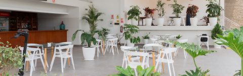 Vive una experiencia inolvidable